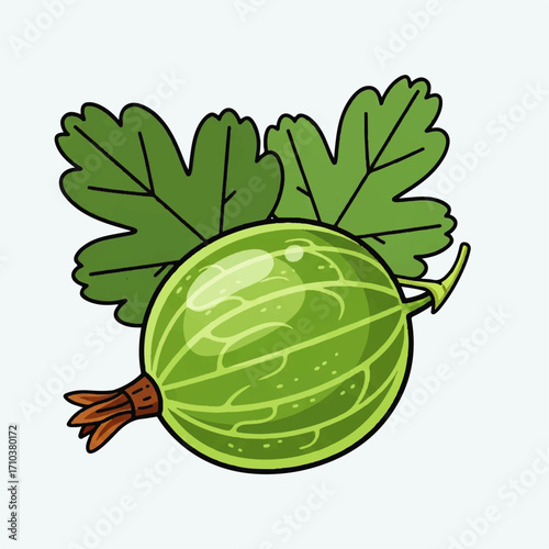 Vibrant green gooseberry illustration with leaves, isolated cartoon style vector graphic. Fresh organic ripe berry design element for healthy food concepts