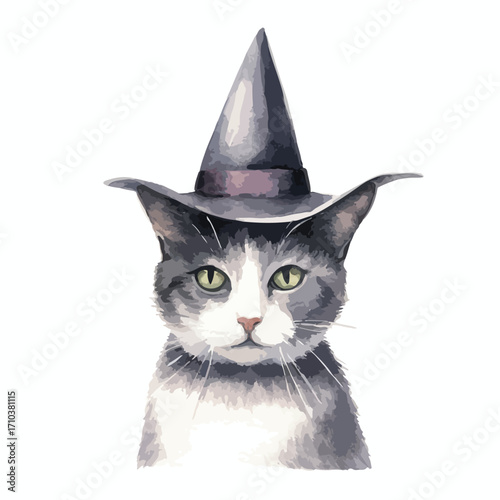Gray and White Cat Wearing a Pointed Witch Hat with a Purple Band