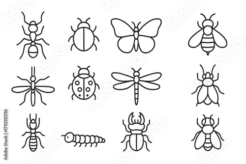 Insect icon set. Bug line art collection. Ant, butterfly, bee, mosquito, ladybug, dragonfly simple linear icons. Minimalist pest & wildlife symbols. Editable stroke vector.