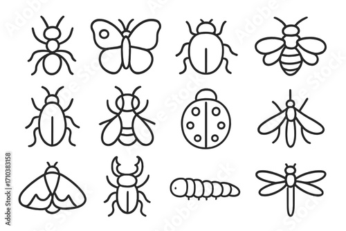 Insect outline icon set. Collection of minimalist bug line art including ant, butterfly, bee, beetle, ladybug, mosquito, moth, and dragonfly. Editable stroke vector illustration.