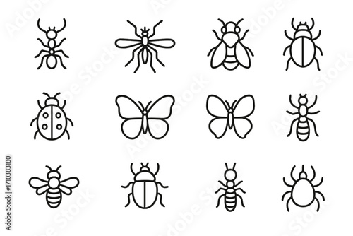 Insect icon set. Bug line art collection with butterfly, ant, bee, mosquito, ladybug, spider, and beetle. Simple linear animal pictograms for web and print. Editable stroke vector.