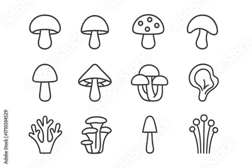 Mushroom icon set. Various fungi types line art collection. Edible, poisonous fungus. Champignon, amanita, chanterelle, oyster, morel vector symbols for web, ui, app design.