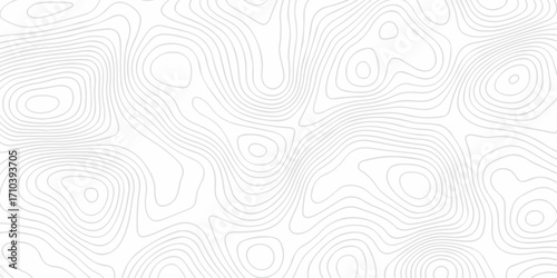 Abstract pattern discovery vector topo diagram design. creative discovery White wave grid stripe line map topography. vector geographic contour mounted map background.	
