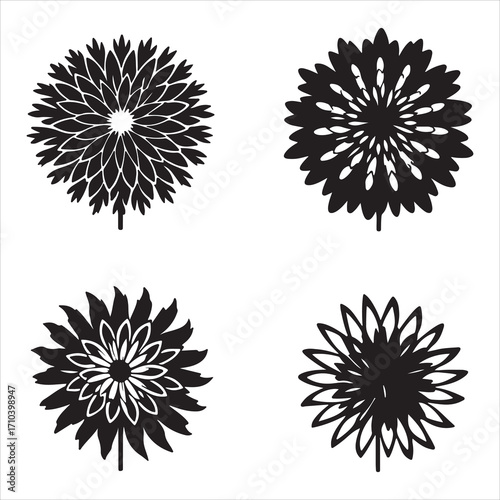 A Colorful and Ornamental Aster Flower, a Daisy-like and Rayed Perennial for the Late-season Garden, a Symbolic and Vibrant Autumn Bloom from the Composite Family