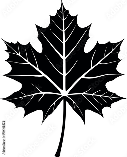 maple leaf silhouette vector icon