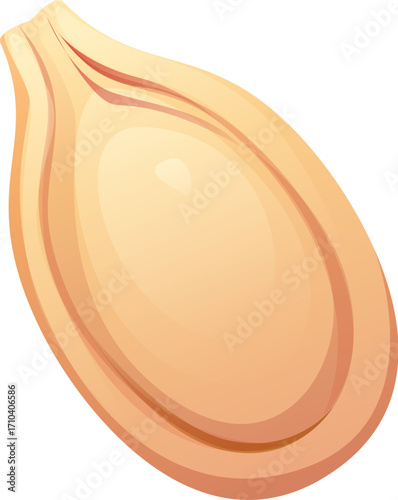 Cartoon raw ripe pumpkin seed with a smooth beige shell. Isolated vector nut, healthy food ingredient, farming, protein nutrition, farm product. Vegetable kernel or grain with glossy peel