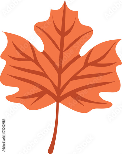 Close up of single autumn leaf icon