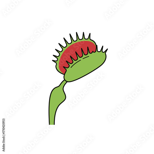 Venus Flytrap Cartoon Illustration of Carnivorous Plant with Red Trap Leaves