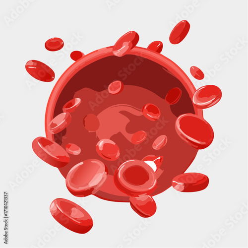 Rote Blutkörperchen