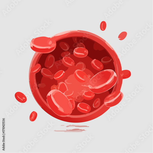 Rote Blutkörperchen