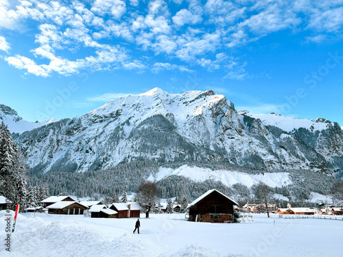 Cottage in the Swiss Alps