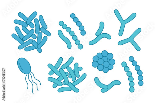 Probiotic bacteria vector set for gut microbiota. Healthy prebiotic bacillus, lactobacillus, streptococcus, bifidobacteria. Good microorganism microflora for biotechnology. Flat icon.
