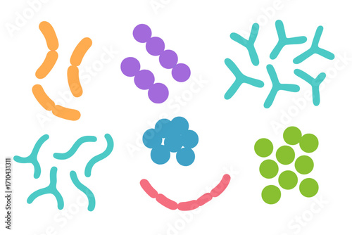 Probiotics bacteria set. Gut microbiota with healthy prebiotic microorganisms. Lactobacillus, bifidobacteria for immune system and digestion. Microbiome science concept. Vector icons.