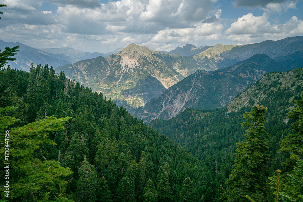 Fototapeta premium Scenic mountain landscape in Greece with tall green trees covering deep valley and dramatic rocky peaks under clouds