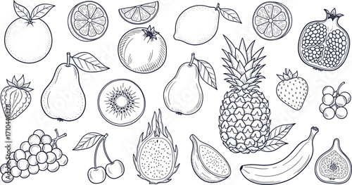 Hand drawn fruit collection, vintage engraving style fruits and berries set, vector illustration
