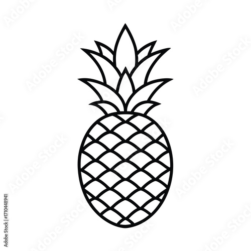 pineapple summer fruit vector illustration on white background 