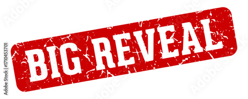 big reveal rectangular sign. big reveal stamp