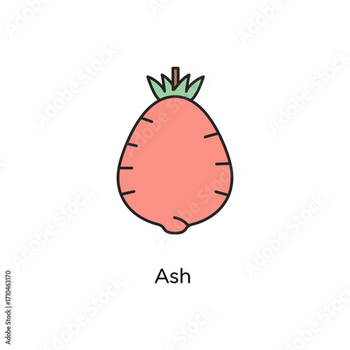 ash vegetable icon outline simple graphic a creative garden harvest illustration an organic produce design and garden fresh.