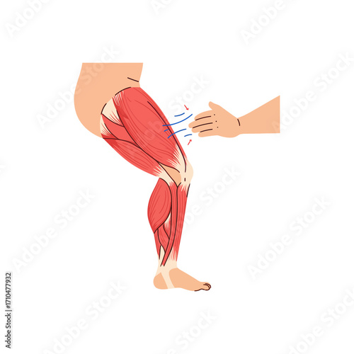 knee pain examination showing muscle anatomy where a hand applies pressure for injury treatment recovery