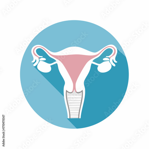 Stylized medical illustration of the female reproductive system, anatomy symbol, isolated in a blue circle.