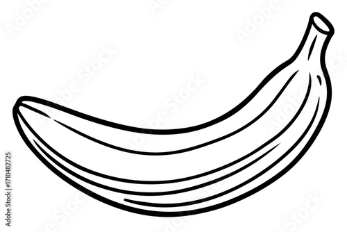 vector illustration of a banana