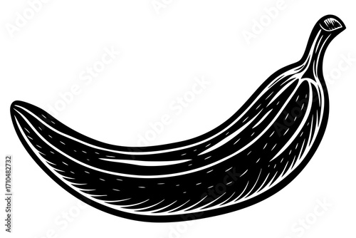 sketch of banana