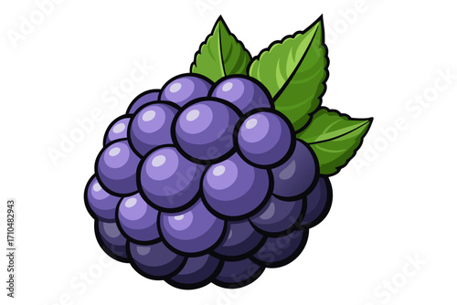 bluberry with leaf