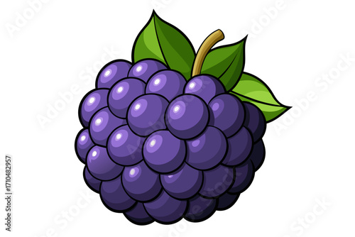 blackberry with leaves