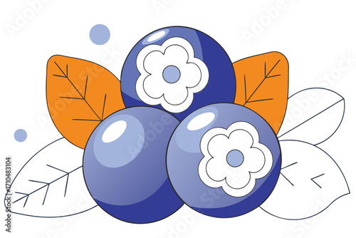 vector illustration of blueberry