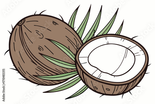 coconut with leaves