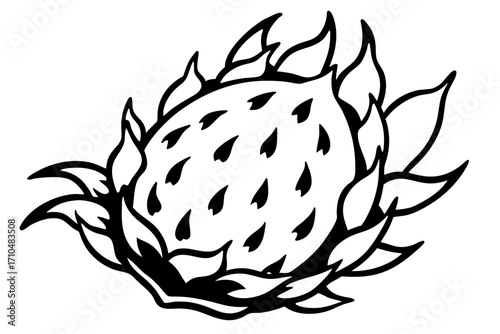 vector illustration of a dragon fruit