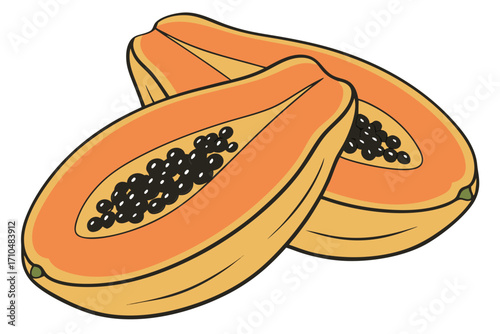 illustration of a slice of papaya