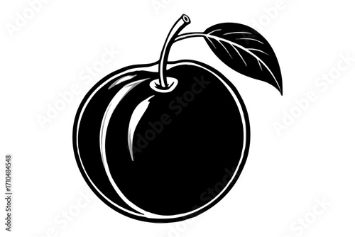 vector illustration of a plum