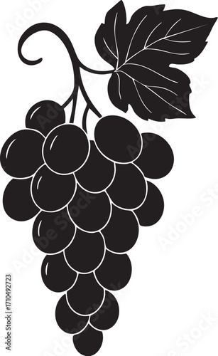 Grapes Bunch Illustration