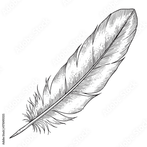 vintage feather 