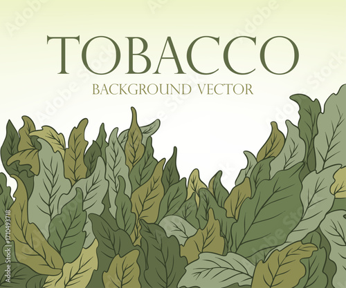 Tobacco Garden Plant. Background Vector illustration