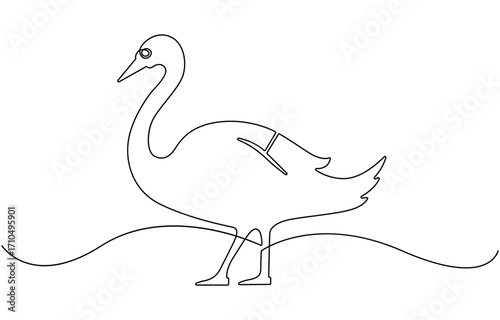 Continuous one line drawing of mute swan.