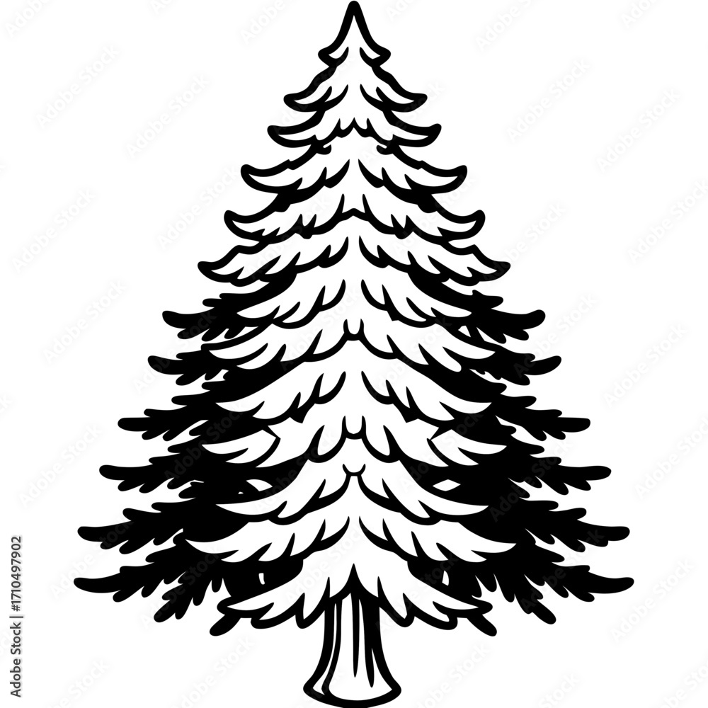 Obraz premium Douglas‑fir line art vector
