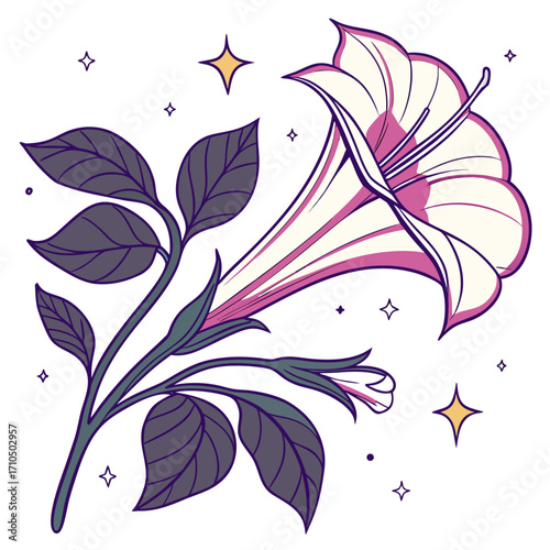 datura moon flower with leaves 