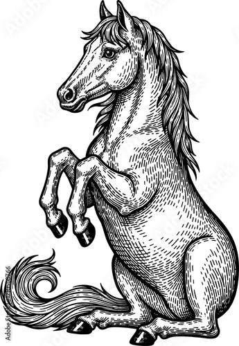 Old engraved illustration of Horse gait (extended trot), Equine anatomy