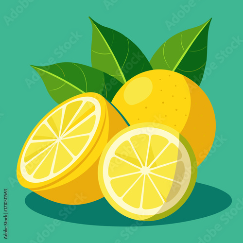 Vector illustration of fresh and juicy lemon and lime slices isolated on a white background