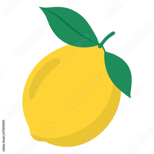 Vector illustration of fresh and healthy citrus fruits, apple, quince and pear isolated on a white background
