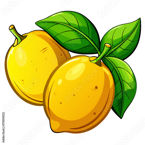 Organic vector illustration of ripe citrus fruit and fresh green leaves on a plant