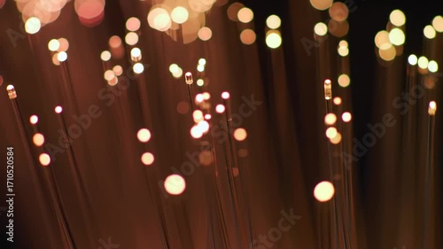 Fiber optic lights in a dark background