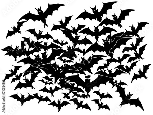 Swarm of Bats Flying Illustration