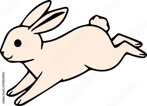 An illustration of a rabbit 토끼 일러스트
