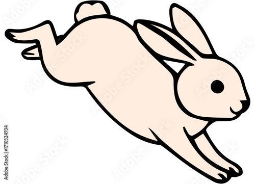 An illustration of a rabbit 토끼 일러스트