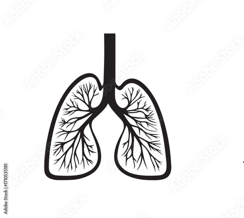 vector illustration of human lungs