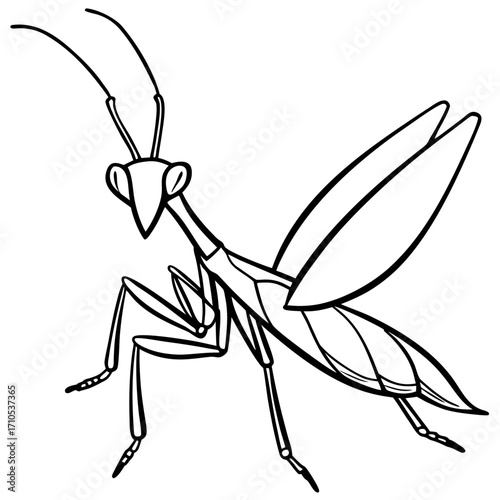 Praying mantis line art vector