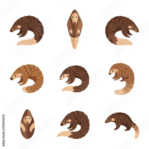 Stylized Pangolin Illustrations Scaled Anteaters in Various Poses and Colors.